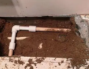 兴仁测漏水哪家好