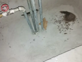 兴仁卫生间测漏水价格明细