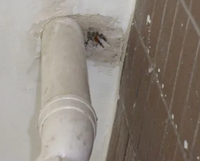 兴仁漏水检测哪家好